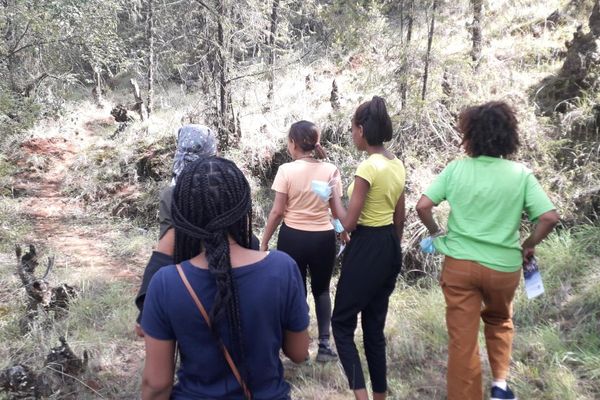 Hiking and Meditation session 