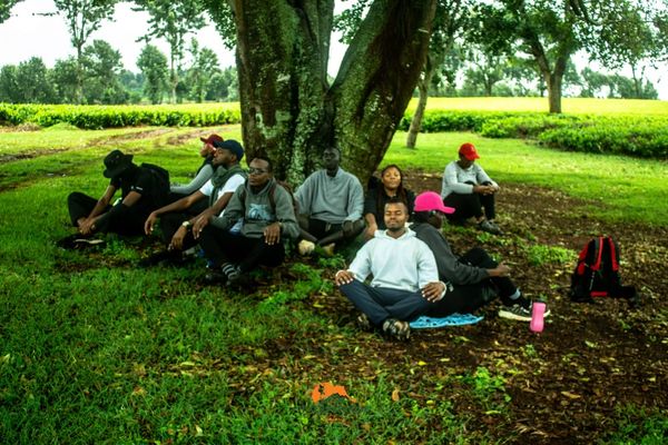 Yoga and meditation.